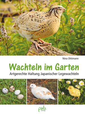 cover image of Wachteln im Garten